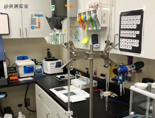 oem odm進(jìn)口食品貼牌代工生產(chǎn) 央洲實業(yè)